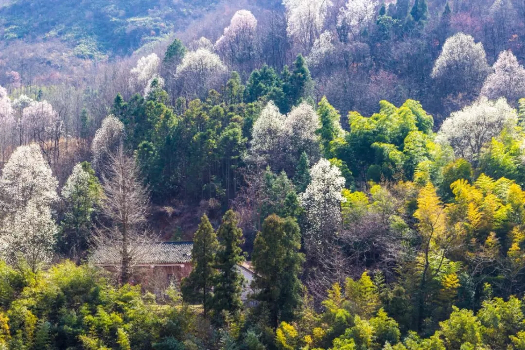 春游江淮請您來(lái)丨向著(zhù)紅土地的方向，春游皖西